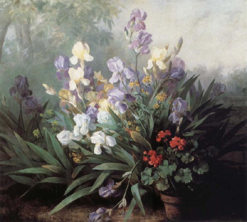 Barbara Bodichon Landscape with Irises Germany oil painting art